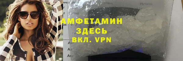 шишки Покачи
