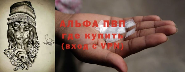 эйфоретик Пересвет