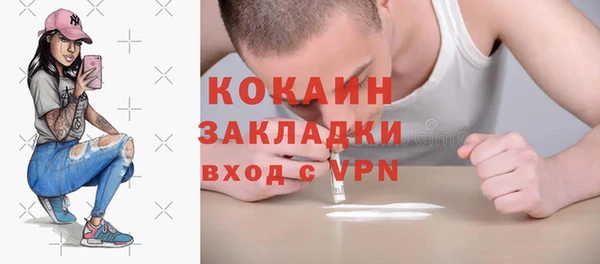шишки Покачи