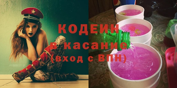 шишки Покачи