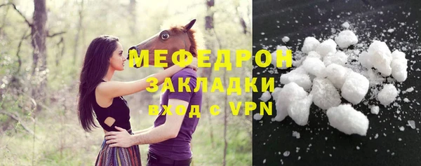 шишки Покачи