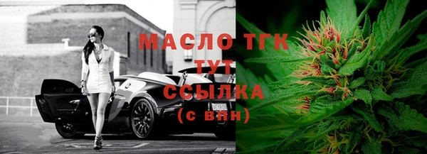 шишки Покачи