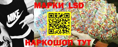 спайс Гатчина