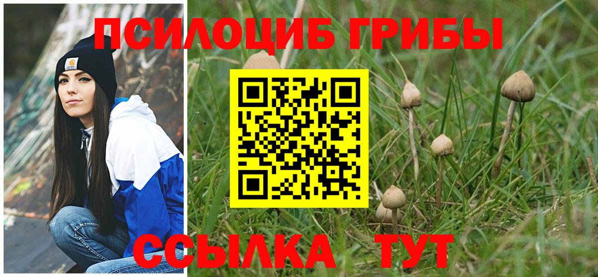 Псилоцибиновые грибы MAGIC MUSHROOMS Великий Устюг